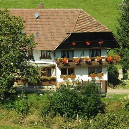 Schüsselehof Apartamento Oberprechtal Exterior foto