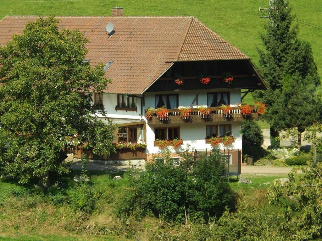 Schüsselehof Apartamento Oberprechtal Exterior foto
